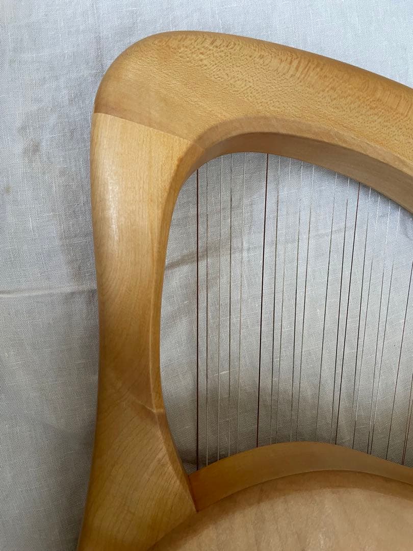 ザーレムライアー　SALEM 27弦