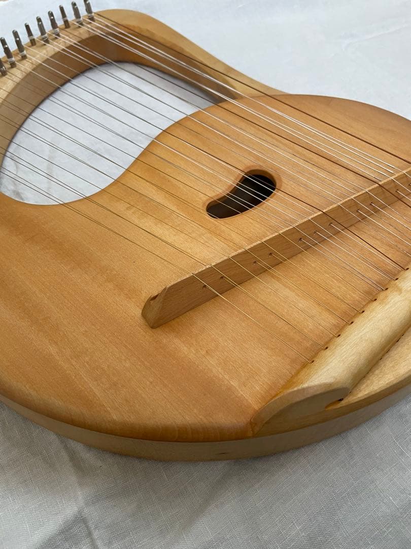 ザーレムライアー　SALEM 27弦