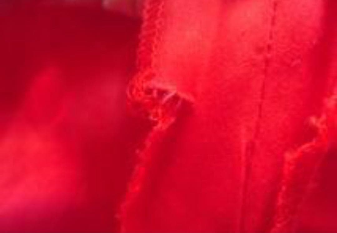 フラメンコ　社交ダンス　ペチコート　赤