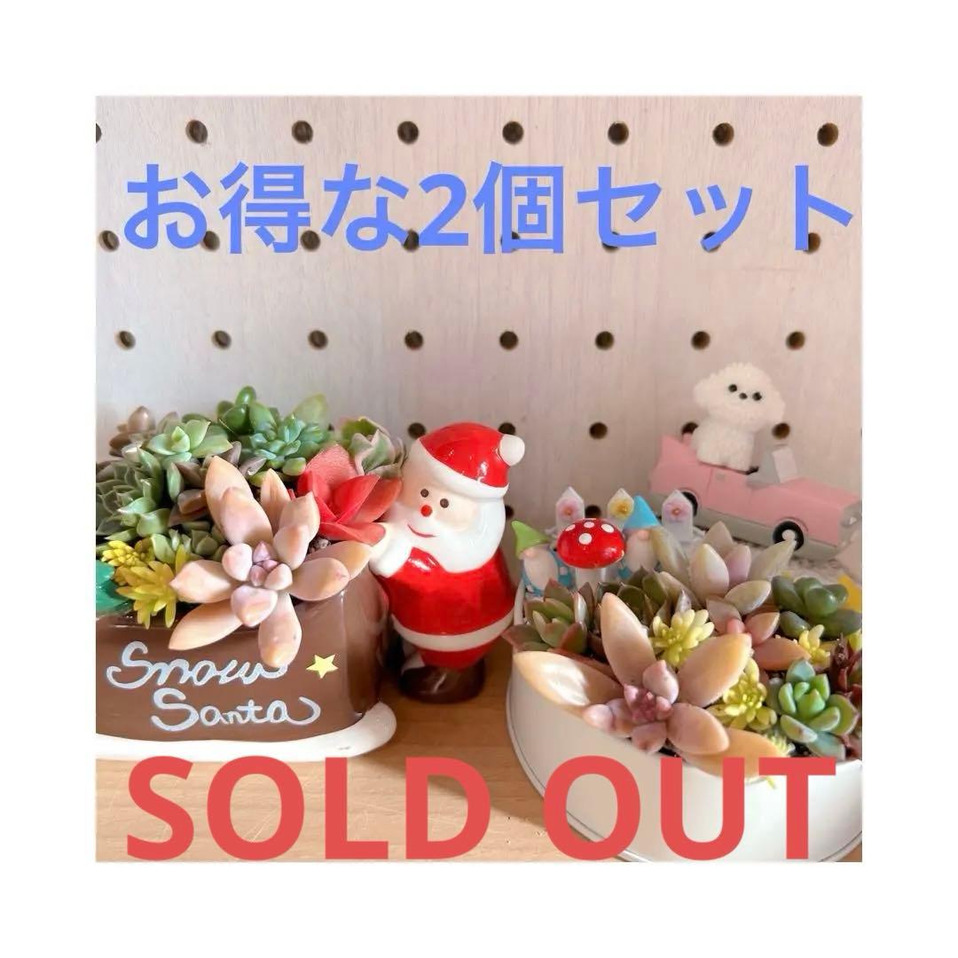メルカリ便♫多肉植物寄せ植え♫そのまま飾れる♫わんちゃんクリスマスセット