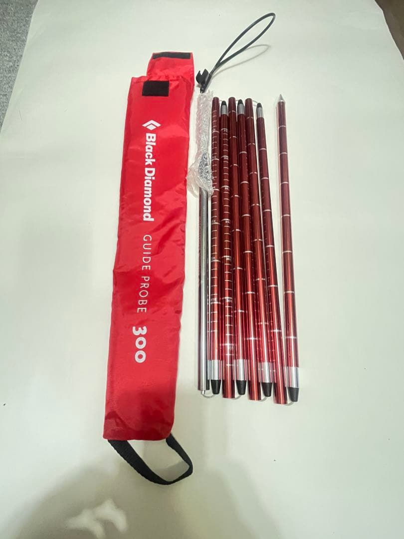  ガイドプローブ 300