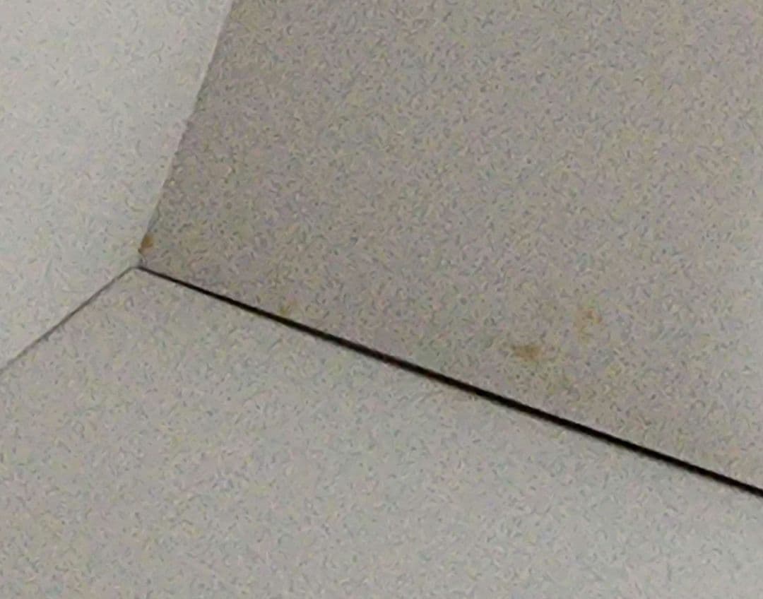 ヘタリア The Beautiful World アニメイト限定版 セット