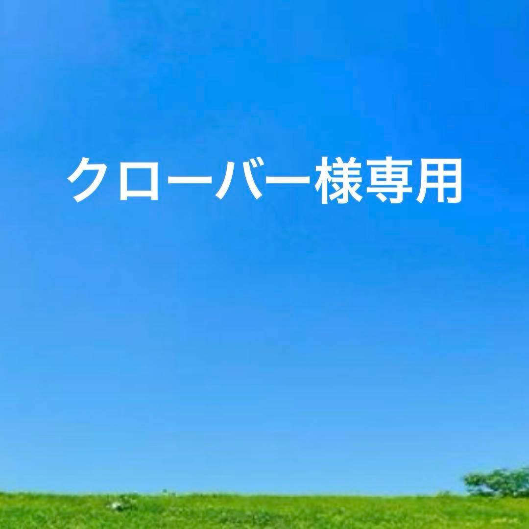 未使用CASTELBAJAC カステルバジャック レザーラウンドジップ長財布 黒