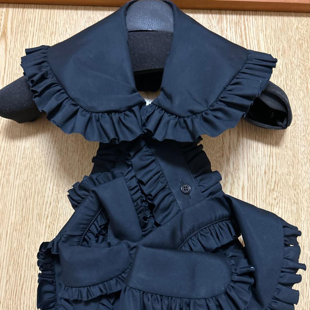 ノアールケイニノミヤ　ハーネス