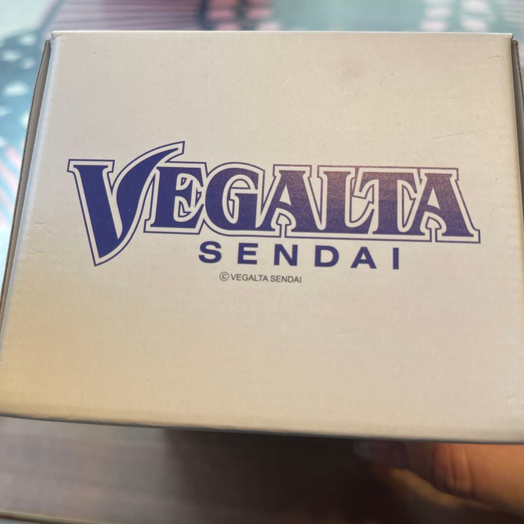 パーソナル空気除菌、脱臭機　ベガルタ仙台