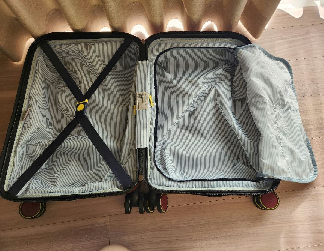 お値下げ中！DELSEY PARIS デルセー キャリーケース　機内持込サイズ