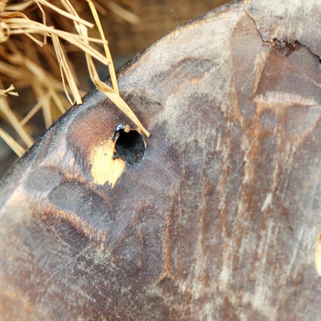 アンゴラ共和国 チョクウェ族 ムカンダ マスク