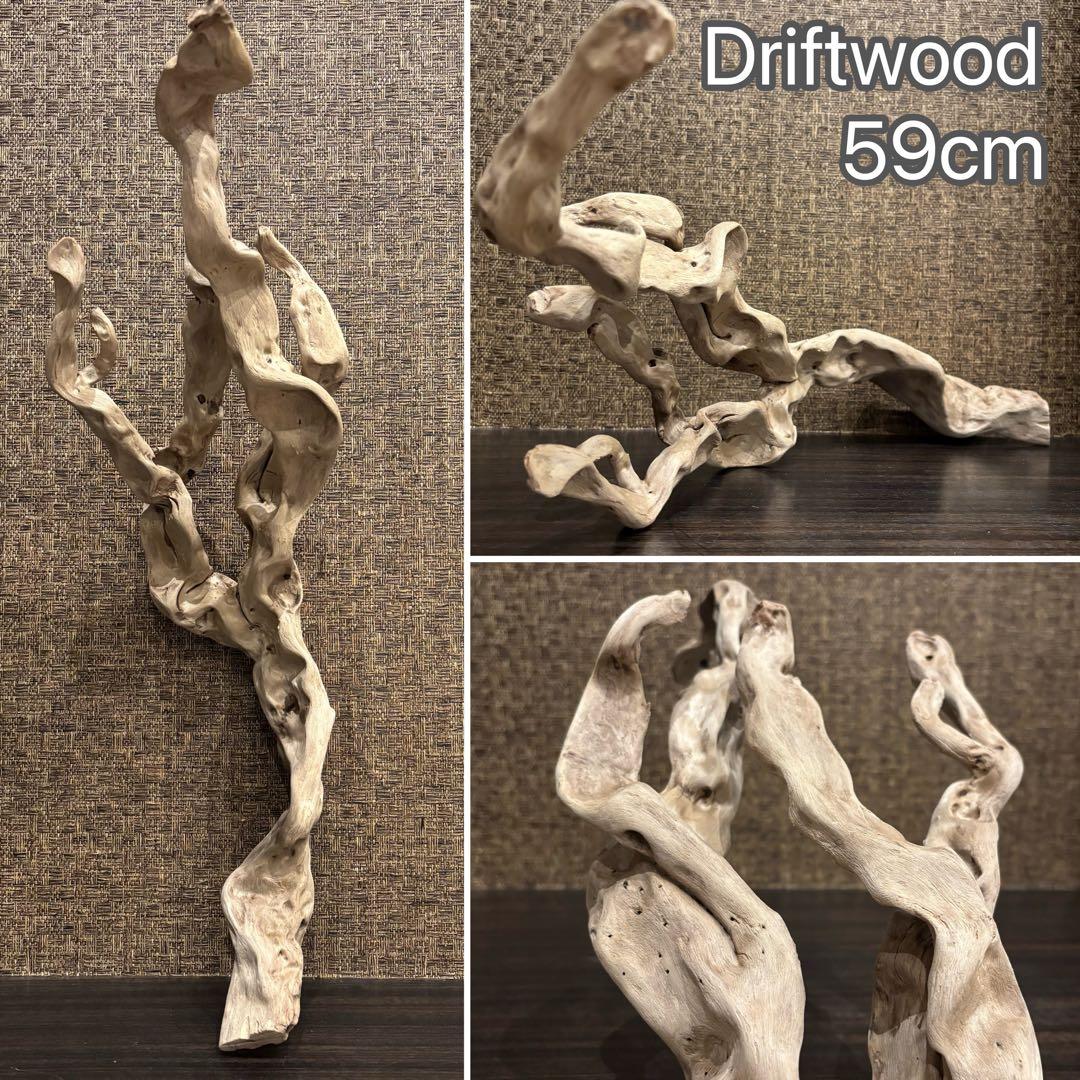 流木 うねうね系ロング　59cm