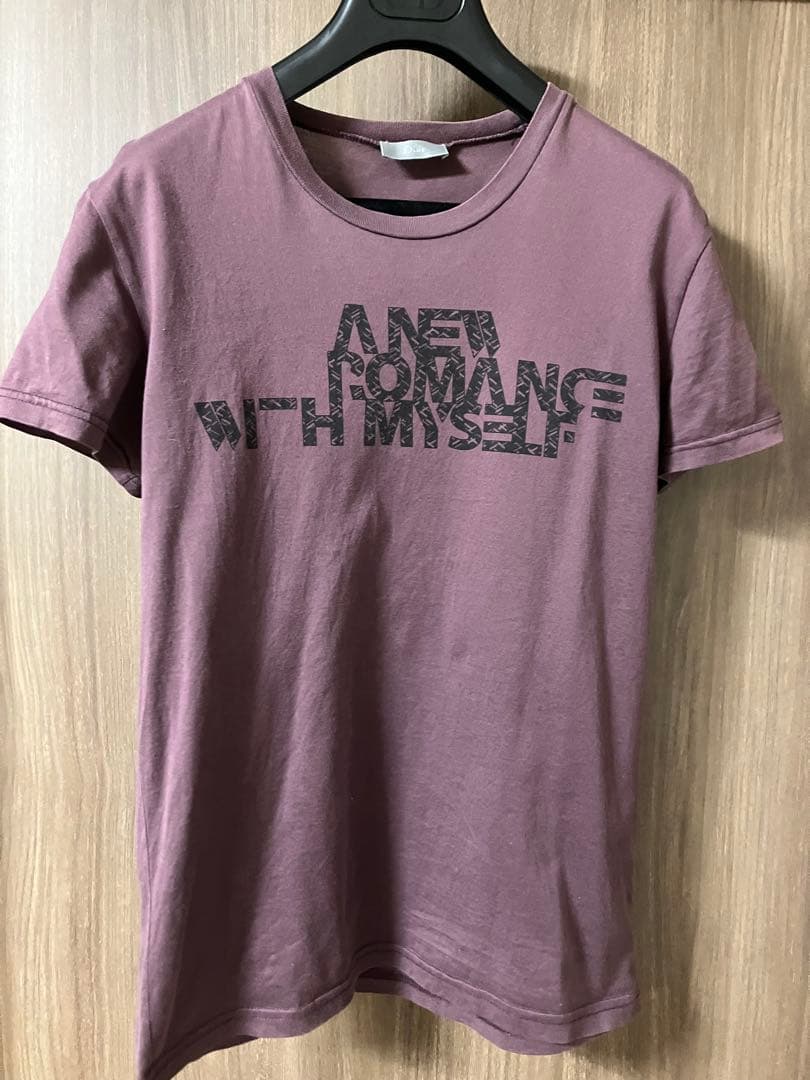 ディオールオムTシャツエディスリマンクリスヴァンアッシュサンローラン セリーヌ