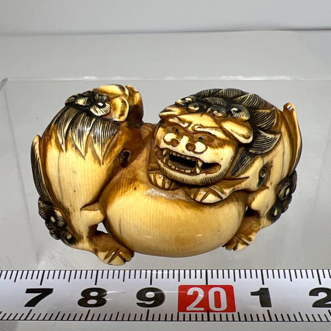 江戸時代　極上　獅子　根付　41g トニサト　東さ7-0923☆2F