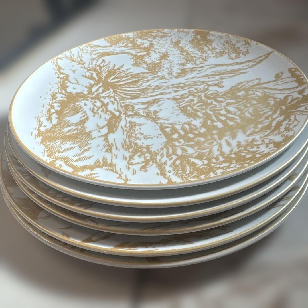 クリスチャンディオール ブロッシュ 大皿 ディナープレート 6枚 D ior食器