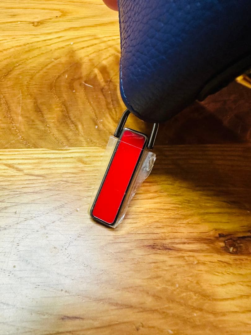 ⭐︎新品未使用⭐︎Christian Louboutin⭐︎ルブタン⭐︎ケース☆