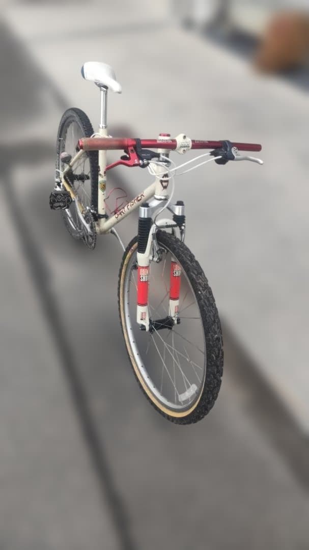 aozora-cycle ゲイリーフィッシャー No.1