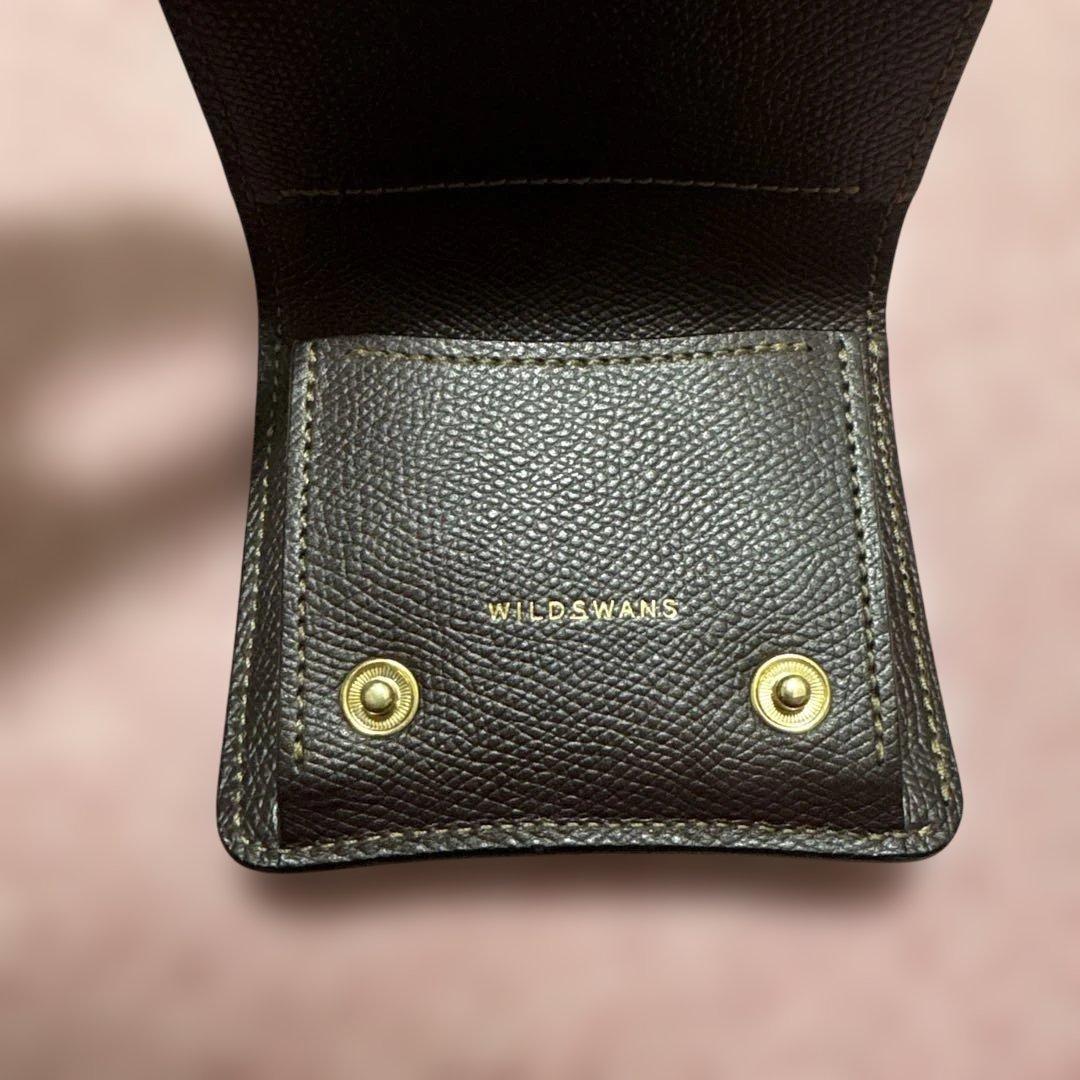 ワイルドスワンズ　PALM V2