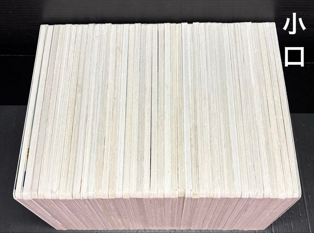 ディズニー スーパーゴールド 絵本 プリンセス 40冊