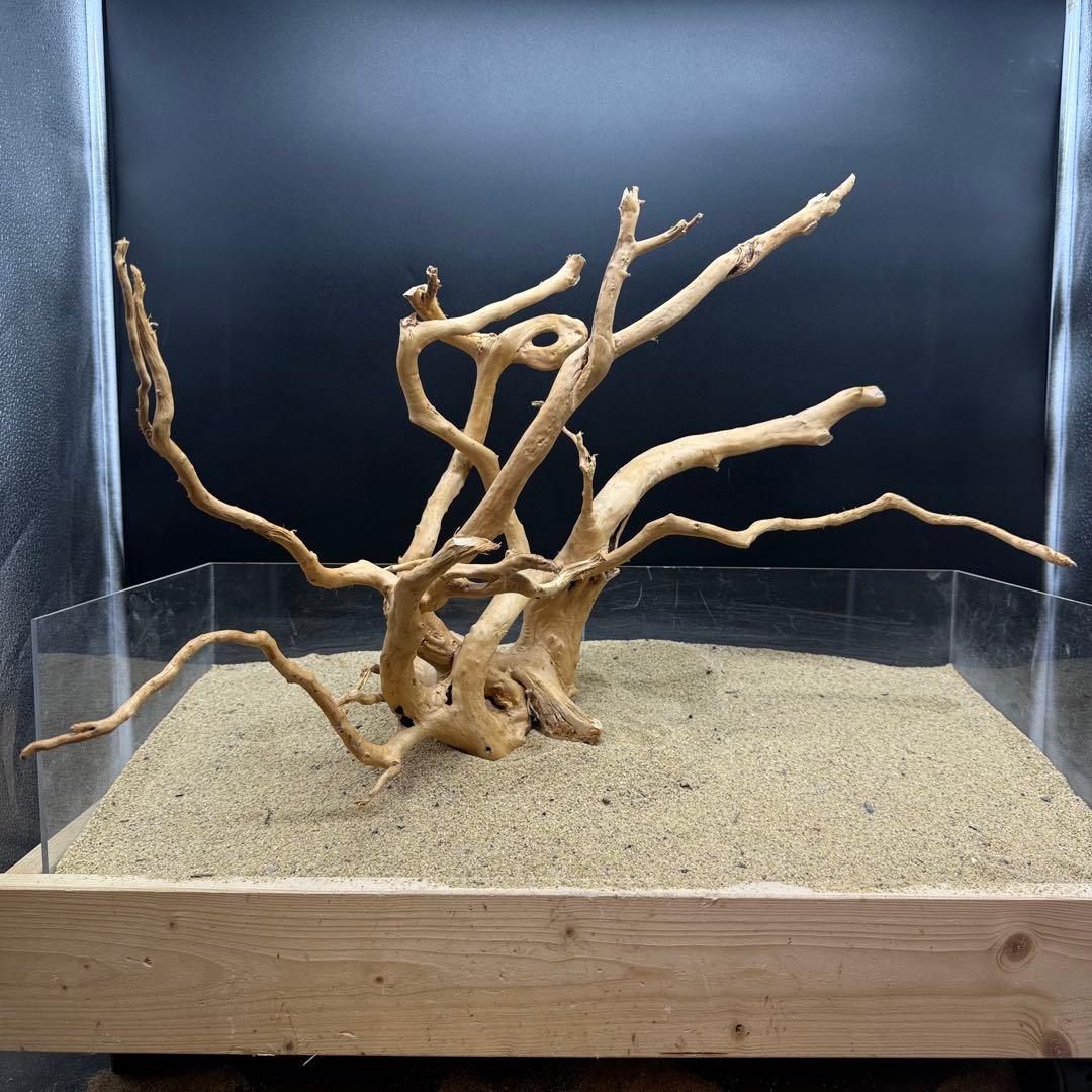 MDW-6991 特大ブランチウッド　流木　枝流木　アクアリウム