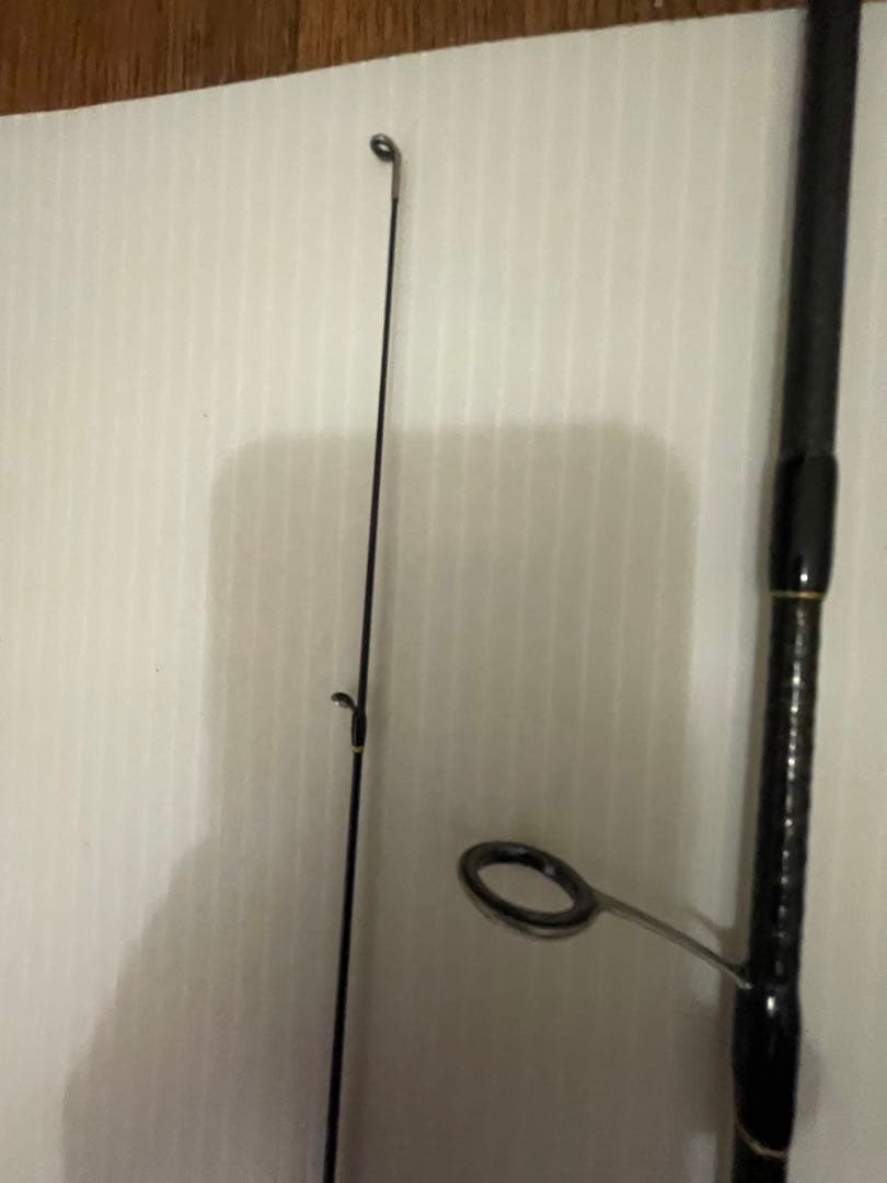 レガーメ　毘沙　アジング