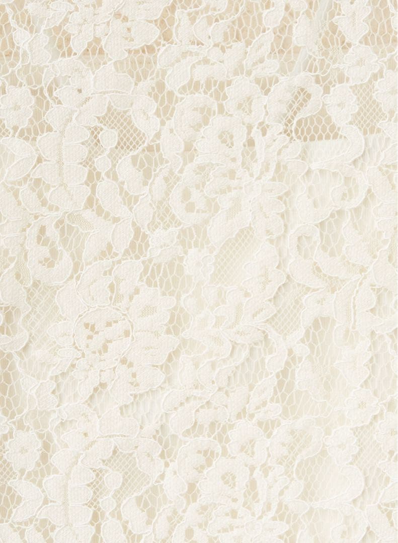 【EC限定色/佐藤佳菜子さんコラボ】クロップドレースブラウス キナリ