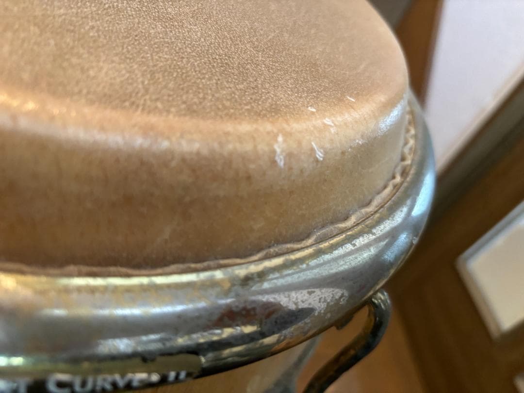 【ジエイ】LP コンガ (キント)