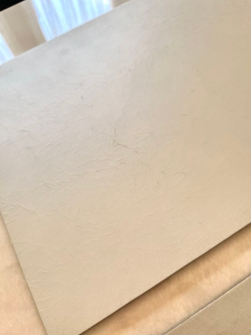 冨樫孝男 ランチマット シャンパンゴールド2枚セット 新品