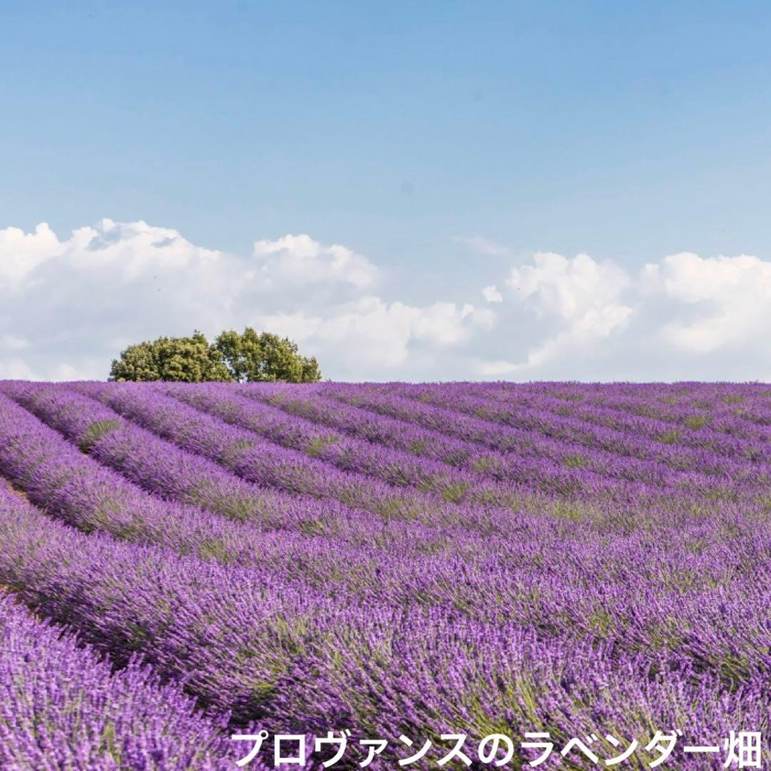 もふもふ様の専用ページです。