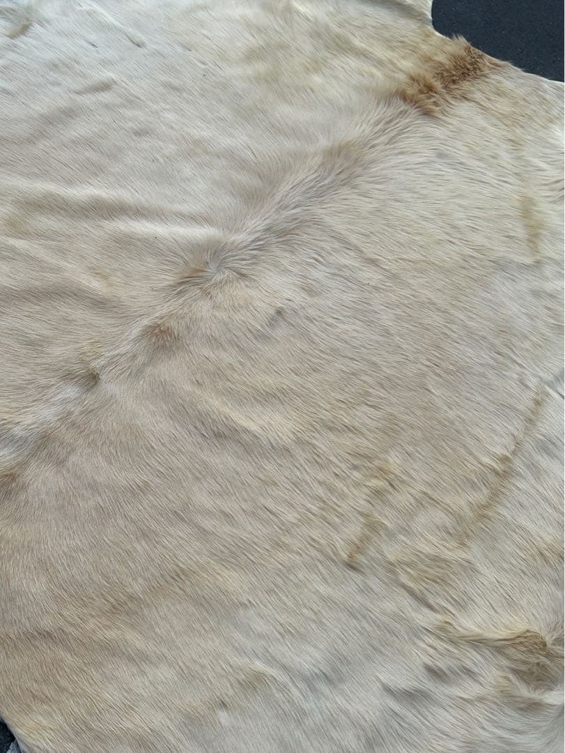 邦*様 ヤングカーフ　ラグ　カーペット　カウラグ　クリーム色　特大　bormes