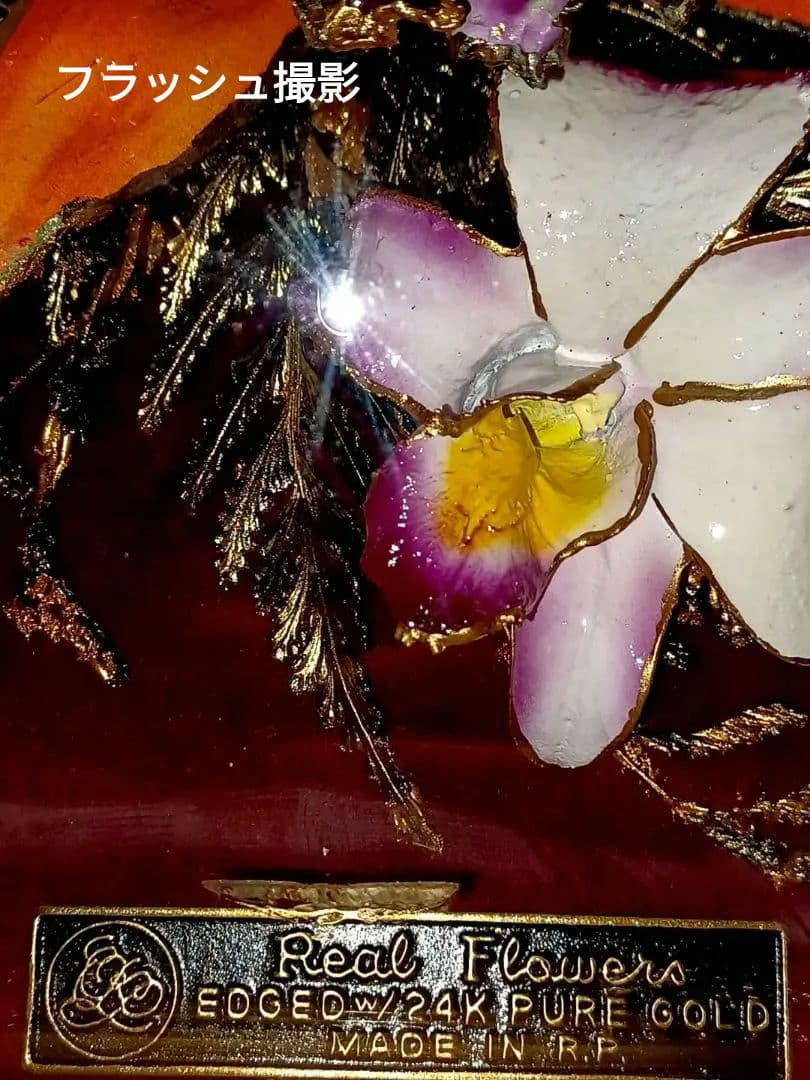 24K♤PURE GOLDエッジ加工／デンドロビウム 蘭 プリザーブドフラワー