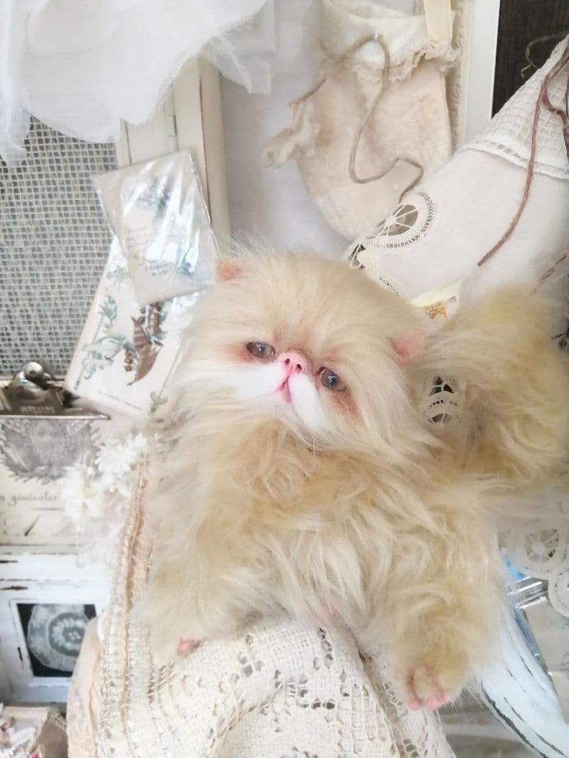 ふにゃっくた♡やわにゃわ♡エキゾチック子猫ちゃん♡アートドール♡ぬいぐるみ♡