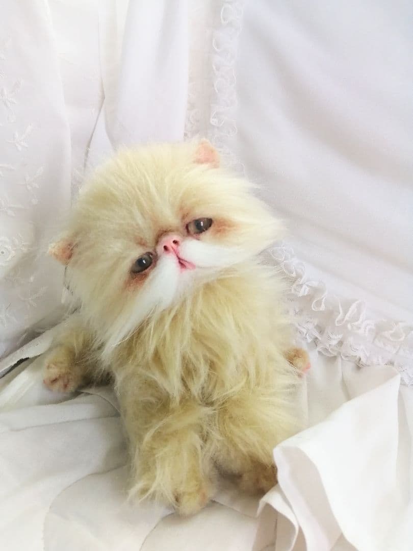 ふにゃっくた♡やわにゃわ♡エキゾチック子猫ちゃん♡アートドール♡ぬいぐるみ♡