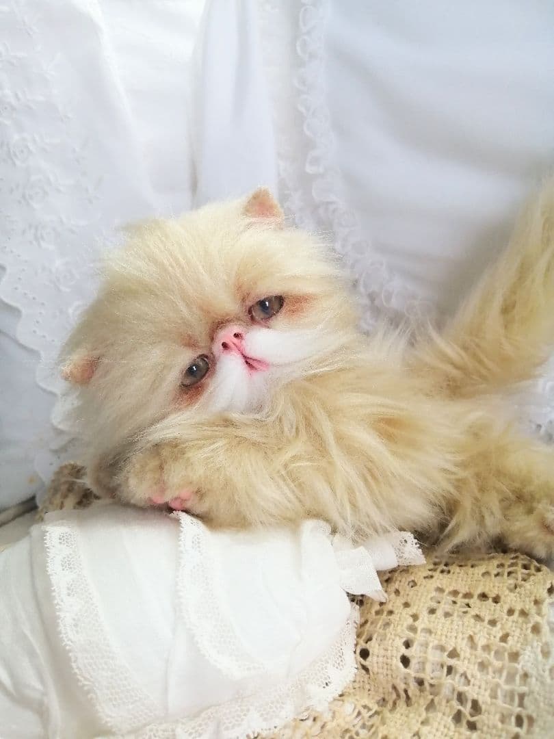 ふにゃっくた♡やわにゃわ♡エキゾチック子猫ちゃん♡アートドール♡ぬいぐるみ♡