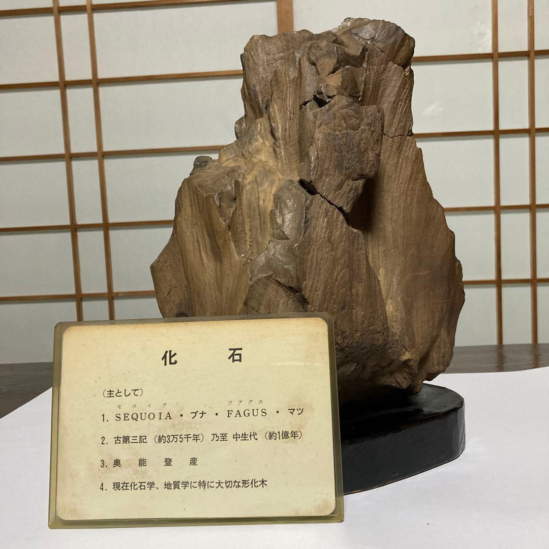 珪化木 木化石 古第三記～中生代 化石 奥能登産 形化木 台付 観賞用 オブジェ