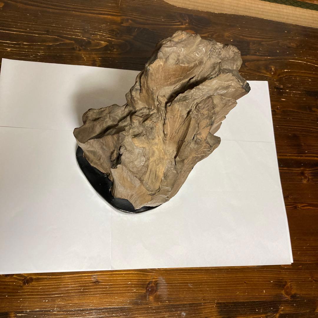 珪化木 木化石 古第三記～中生代 化石 奥能登産 形化木 台付 観賞用 オブジェ