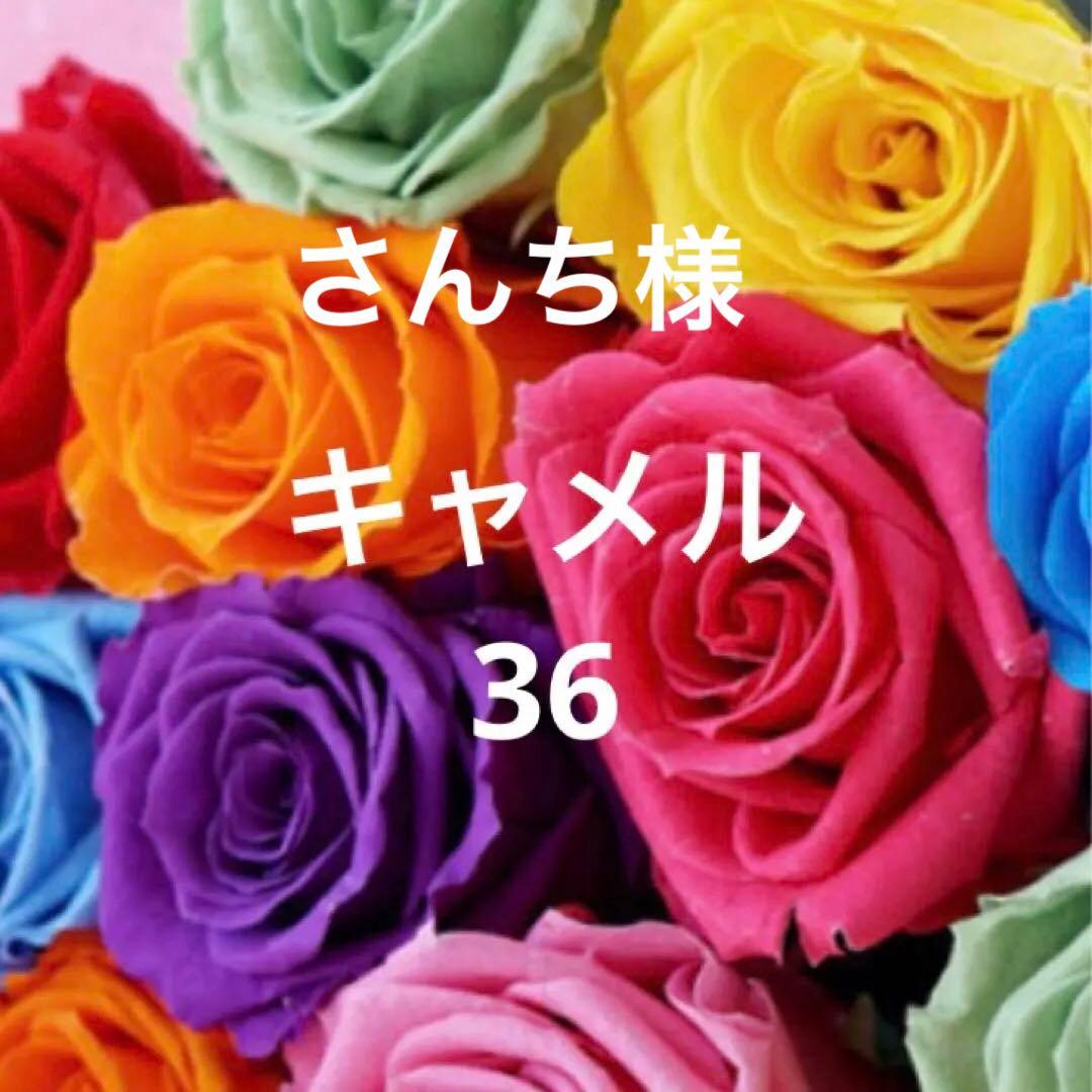 新品タグ付【MAX MARA】36ESTURIAクチートアマーノキャメル