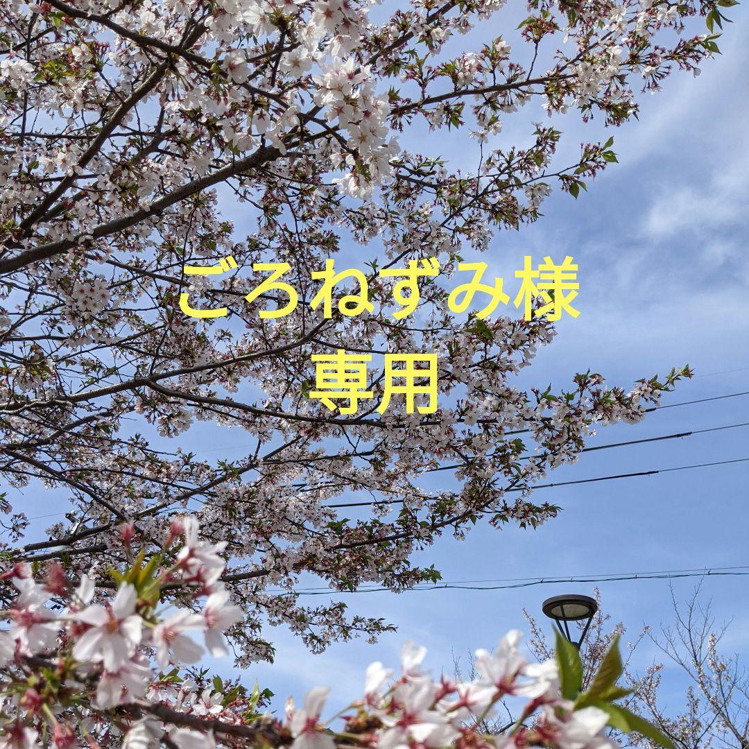 【美品】RED MOON / ブラック レザーウォレット チェーン