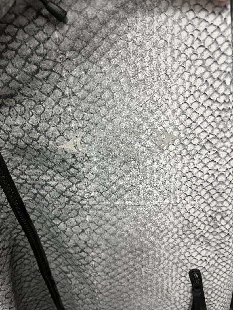 ARC'TERYX アークテリクス　beta SL ウォークジェントリー　L