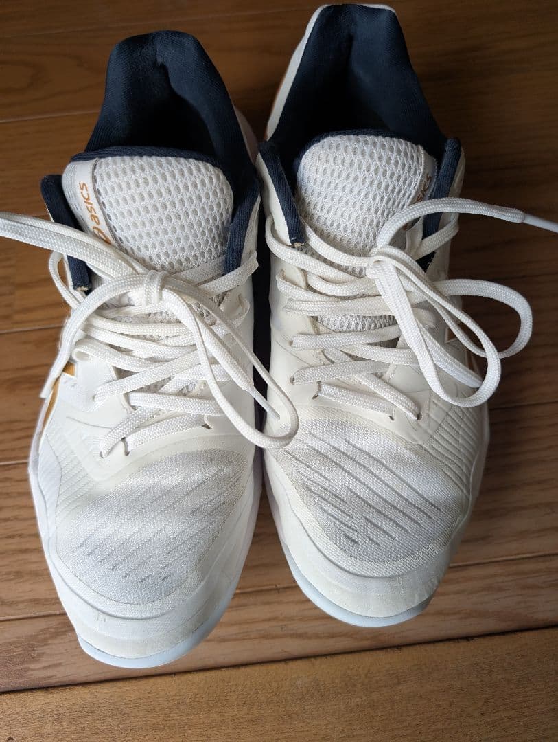 スカイエリートff3 26センチ　中古