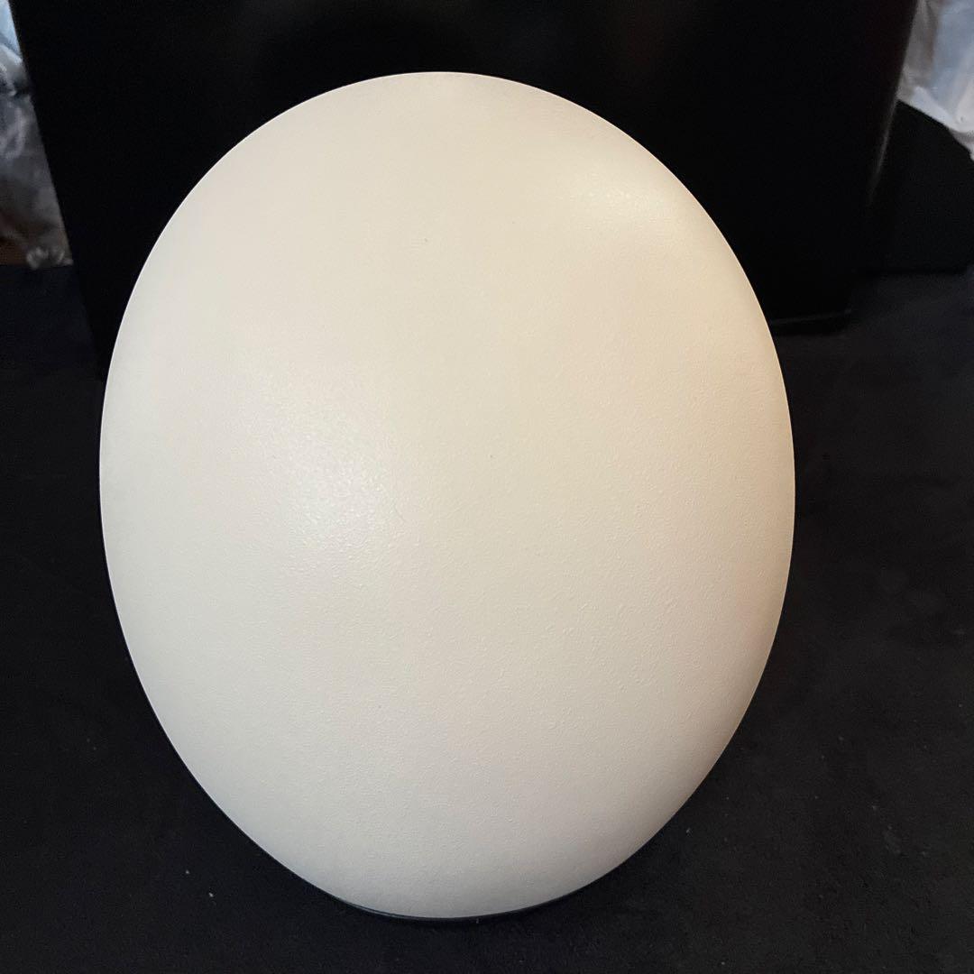 オーシャンビートル LAC 別注 マットアイボリー