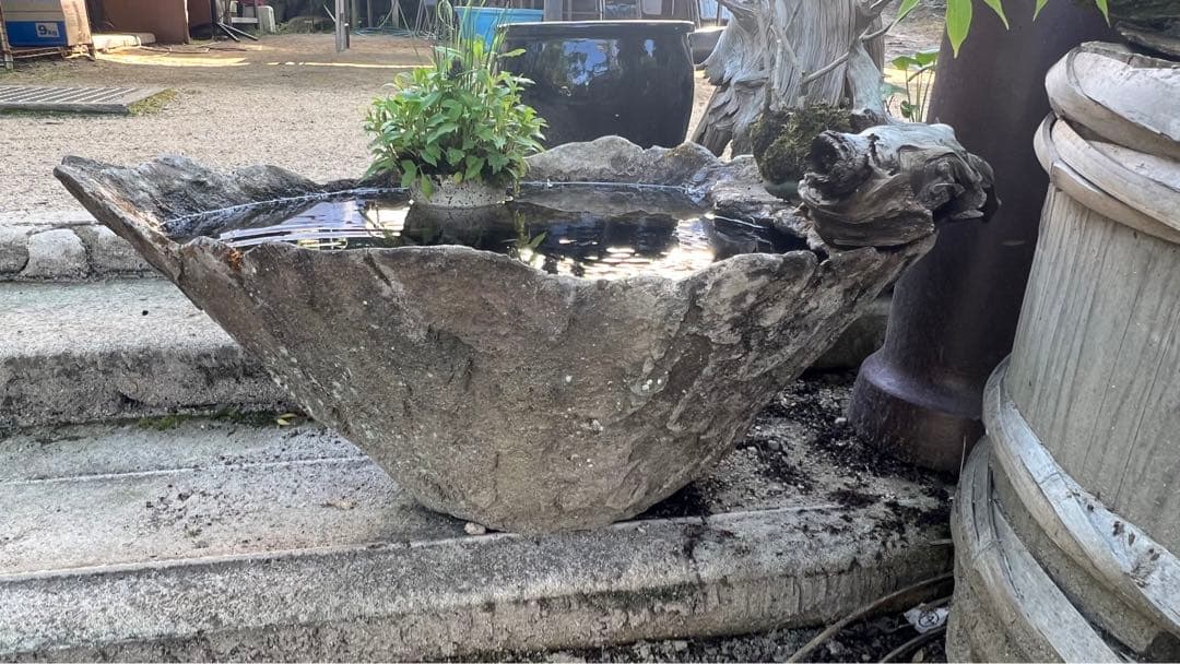 オリジナル手造り一品物めだか鉢　‼️