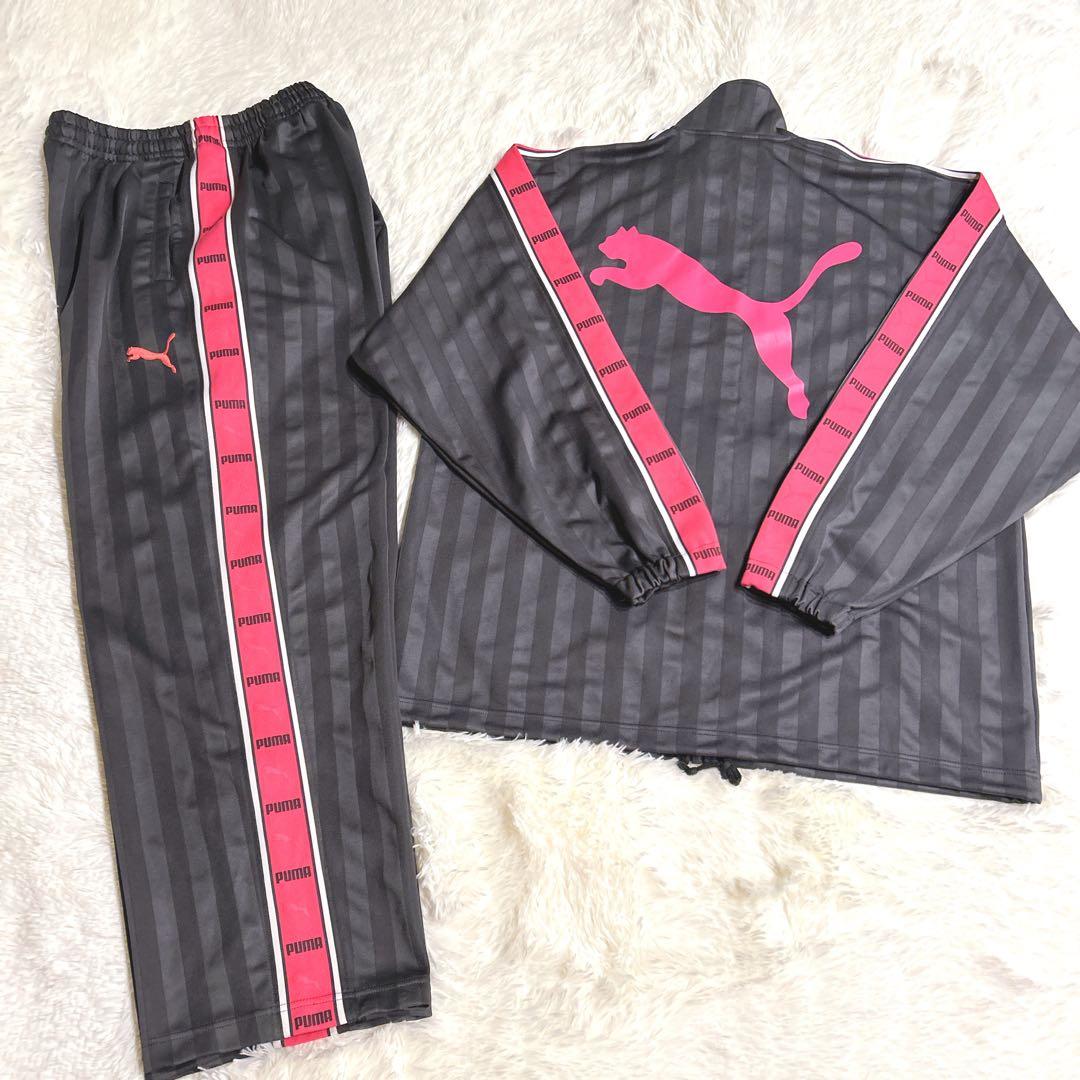 美品 PUMA ジャージ セットアップ 希少 大きいサイズ ピンク XL