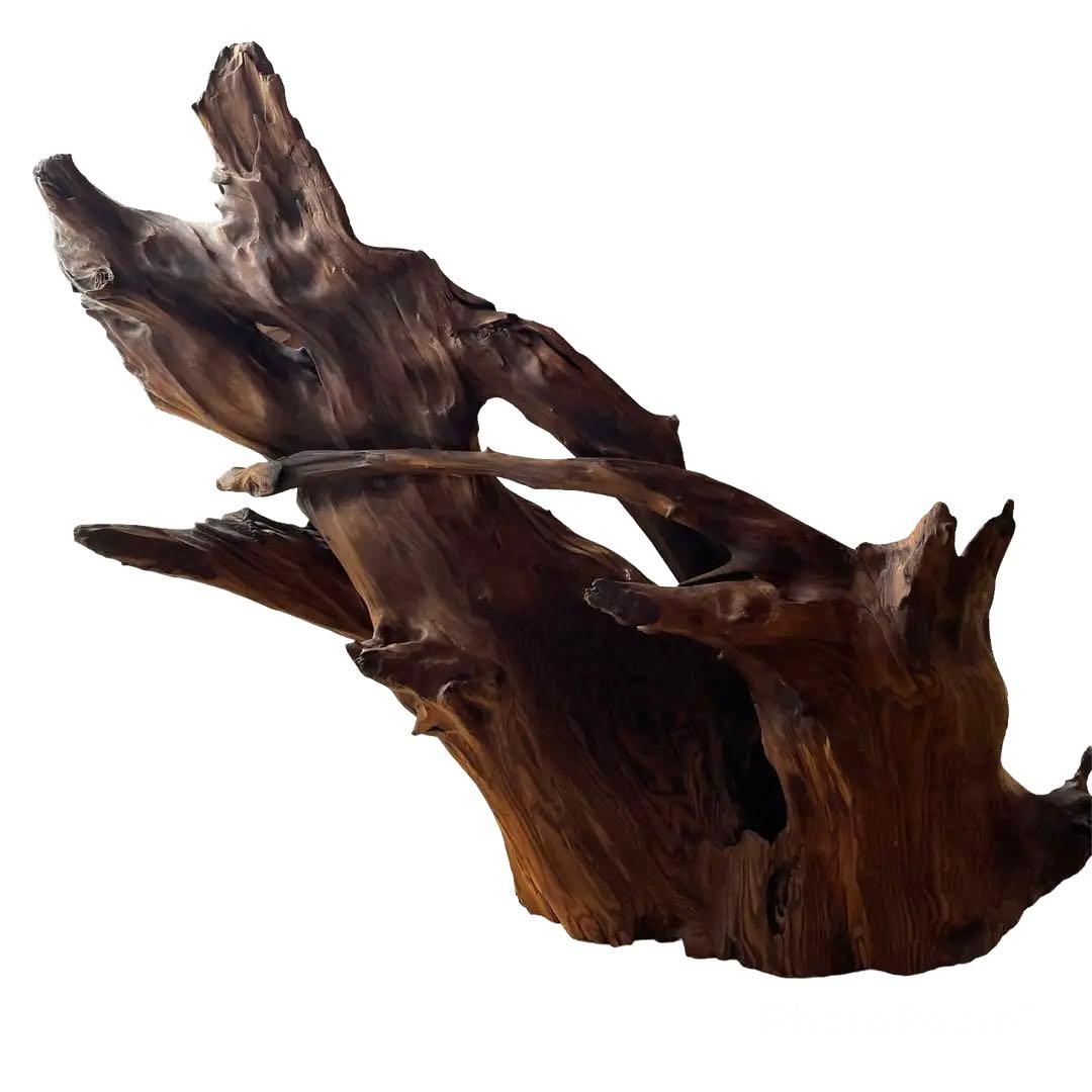 【希少／レア】流木　インテリア　置物