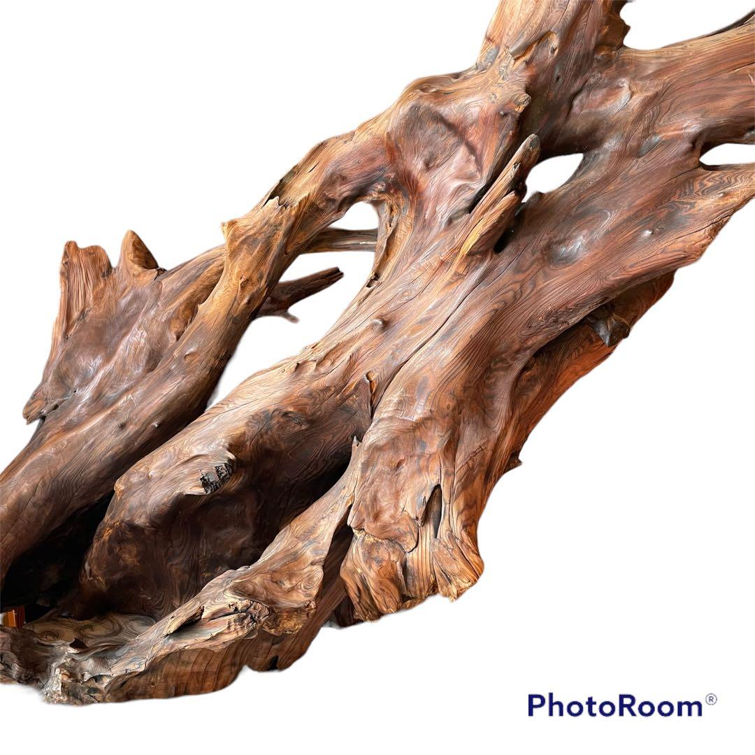 【希少／レア】流木　インテリア　置物