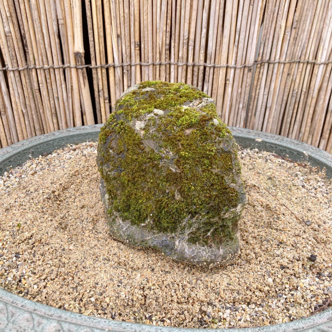 京都　貴船　糸掛石【A】