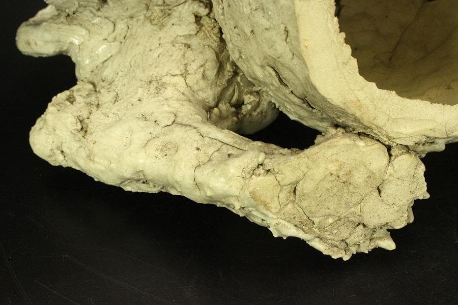 古美術 古萩 獅子 置物 時代物(A676)