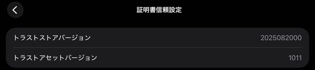 2021 Apple 11インチiPad Pro (Wi-Fi, 128GB)