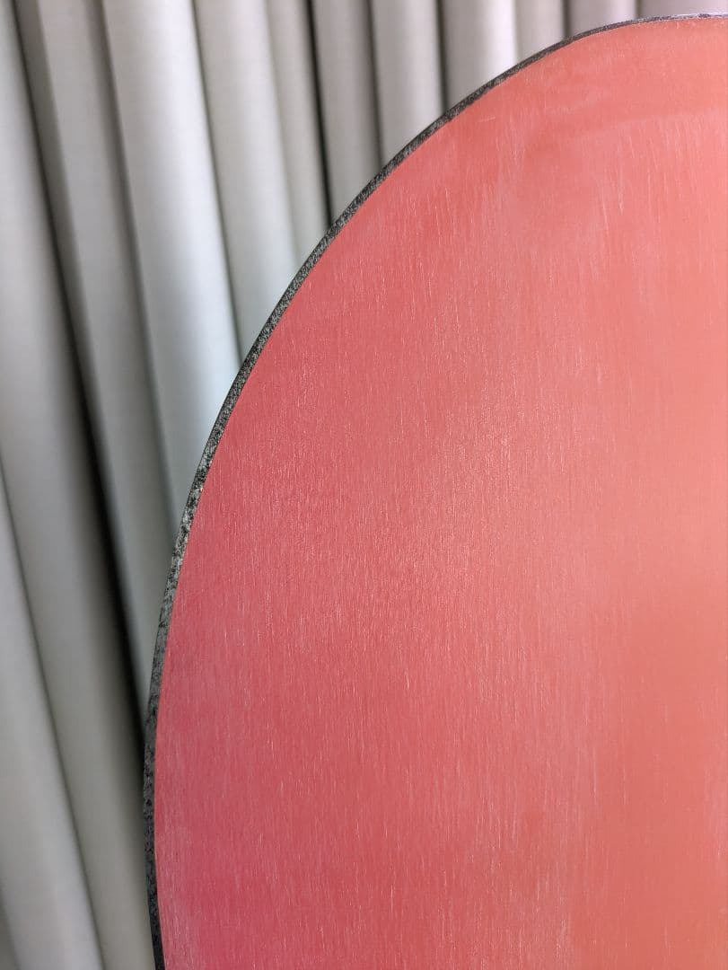 ホリデースノーボード　スレイヤー