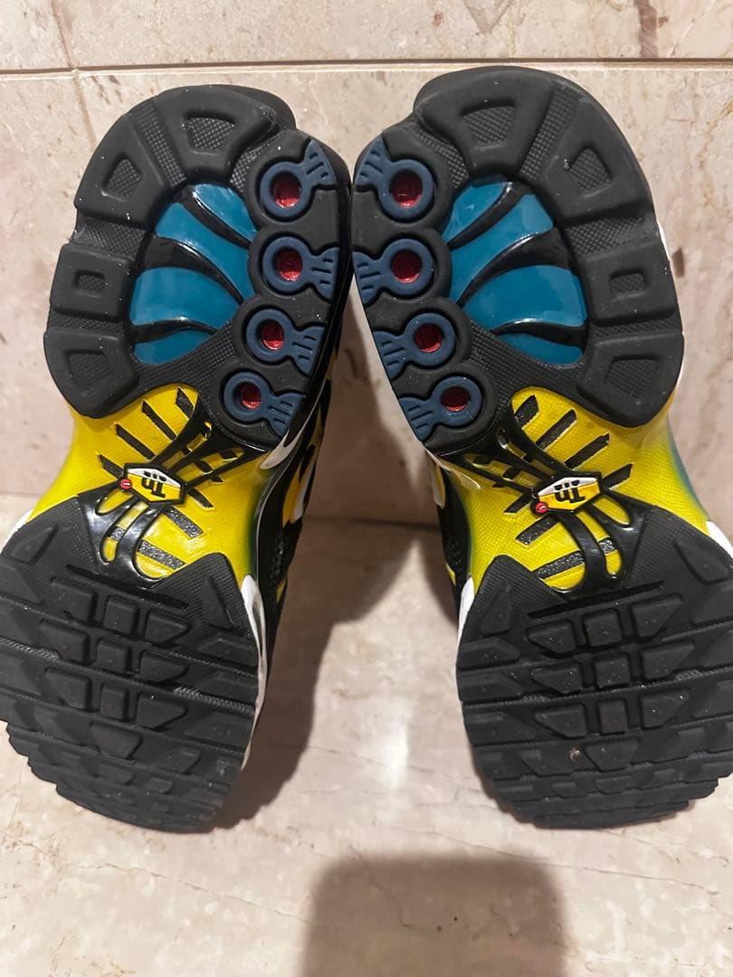 NIKE ナイキエアマックスプラスTN AIR MAX PLAS TN 26.5