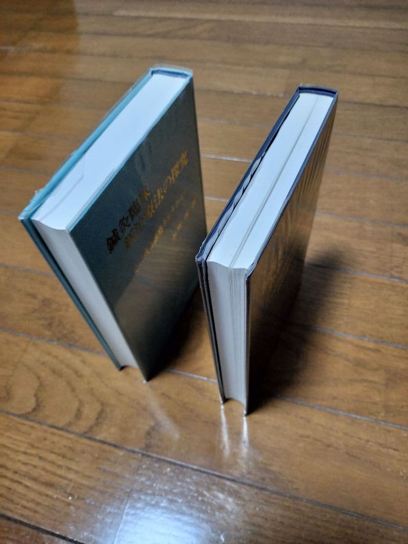 長野式　鍼灸臨床新治療法の探究 　鍼灸臨床 わが三十年の軌跡