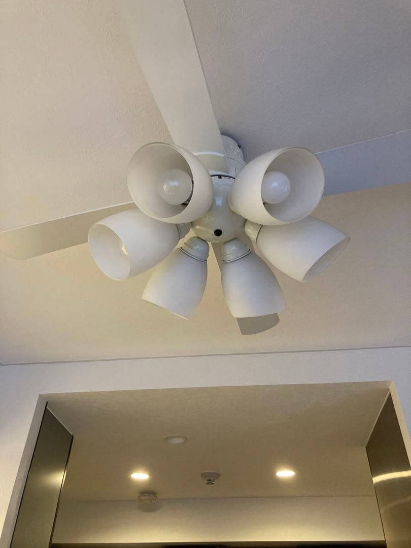 ホワイト シーリングファン ライト付き