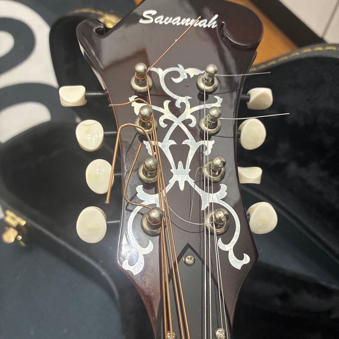 Savannah フラットマンドリン　ハードケース付き
