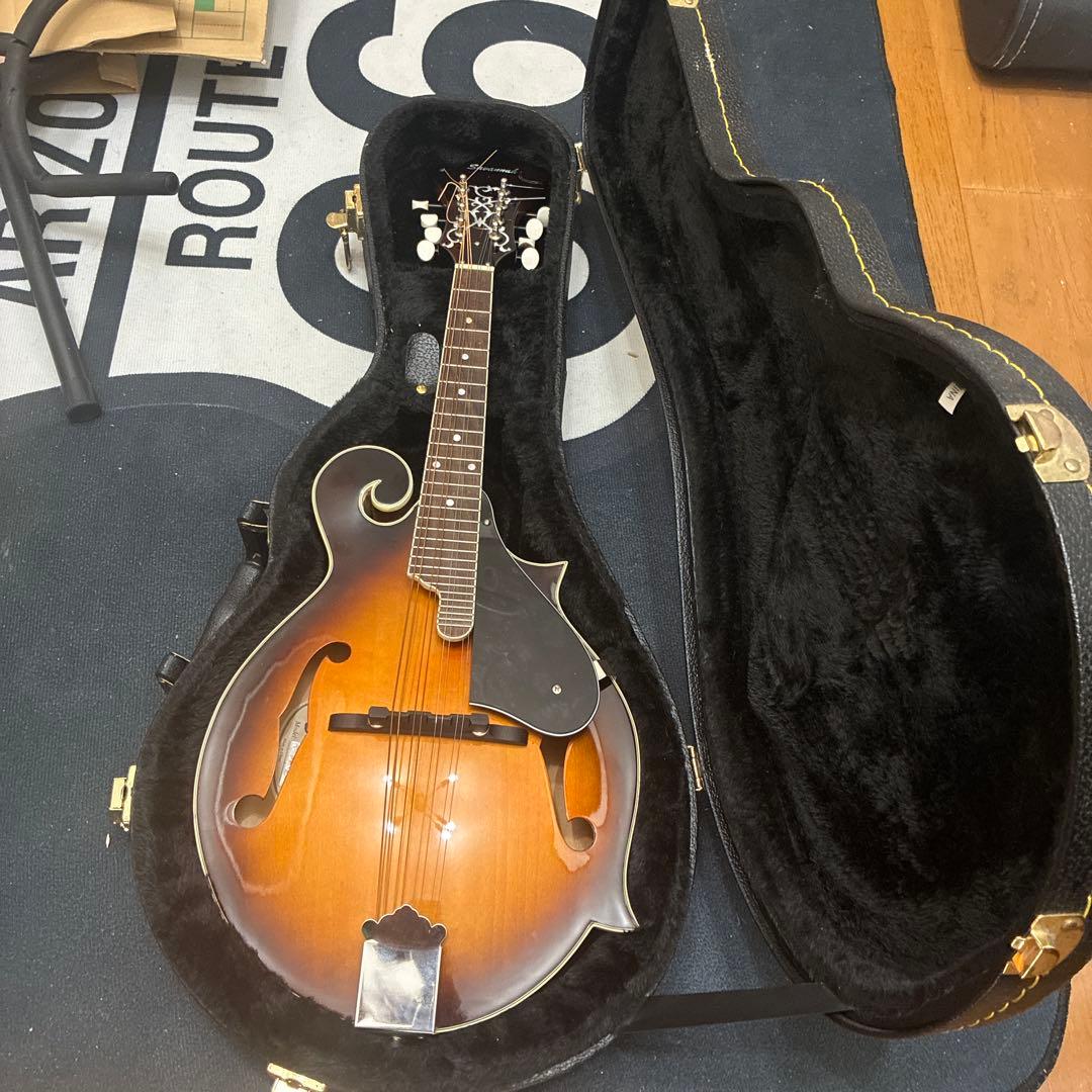 Savannah フラットマンドリン　ハードケース付き